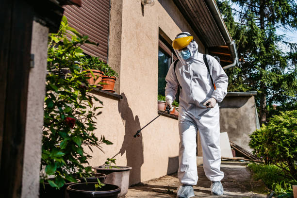 Best Wasp Removal Services  in White City, OR